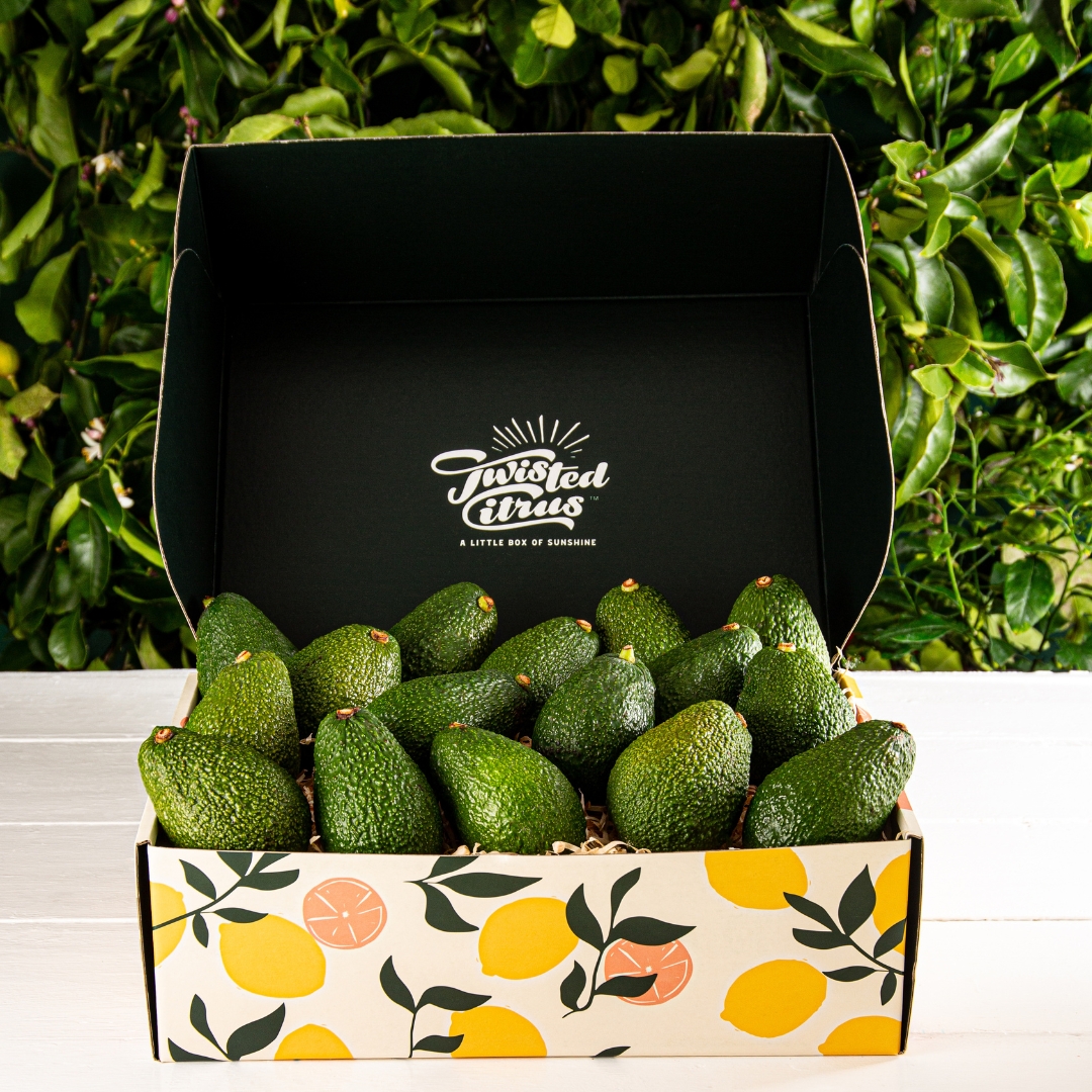 Buy Hass Avocados Gift Box Online NZ - Twisted Citrus